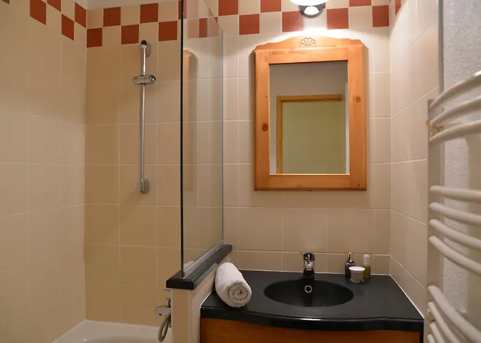 Confort Ski-in/ski-out, Animaux Admis, Vue Pistes - Fr-1-181-1182 *